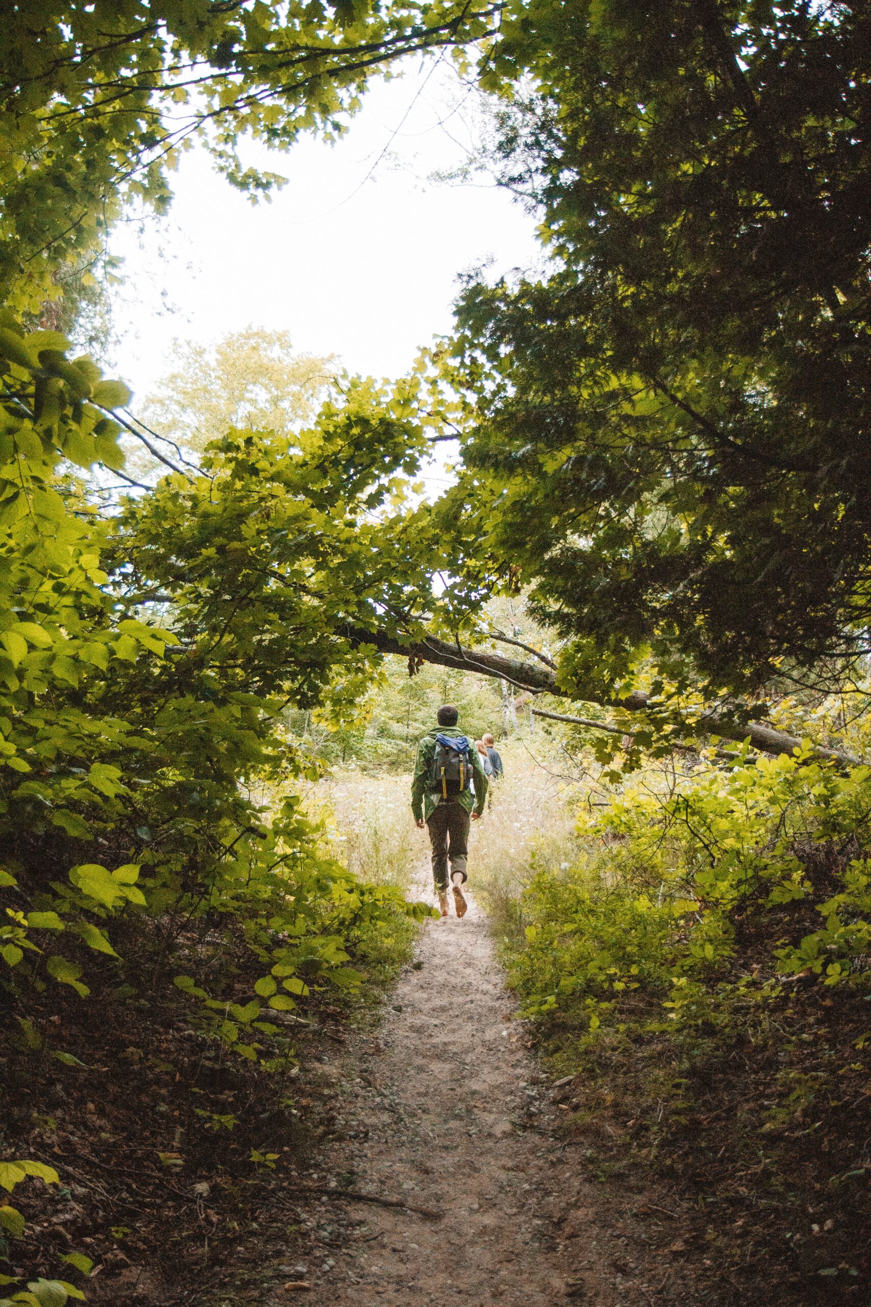 A vertical shot of a male with a backpack walking on a narrow pathway in the middle of trees and plants